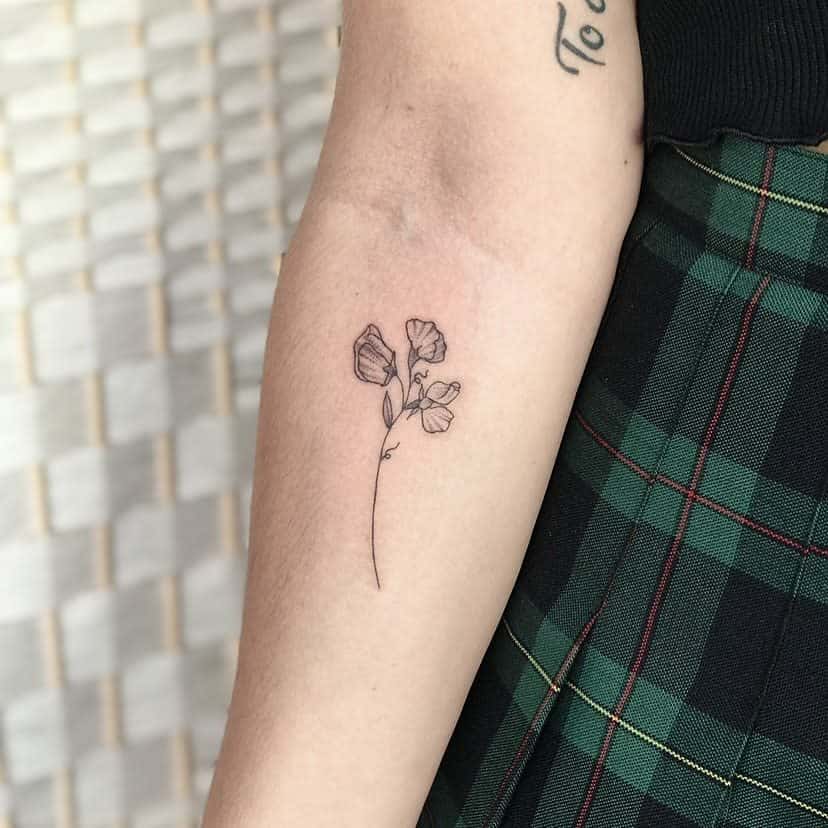 Simple Sweet Pea Flower Tattoo lucietattoo