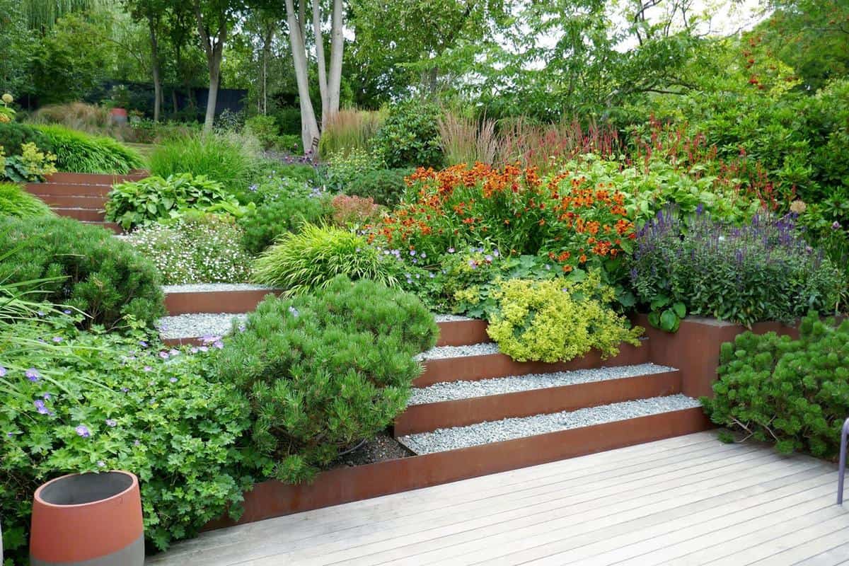 tiered garden wood deck green shrubs and flowers 