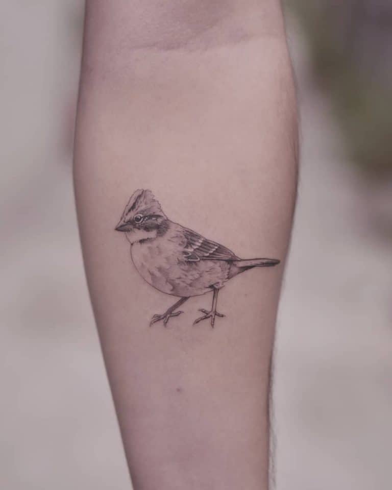 61 Amazing Small Bird Tattoo Ideas [2024 Inspiration Guide]