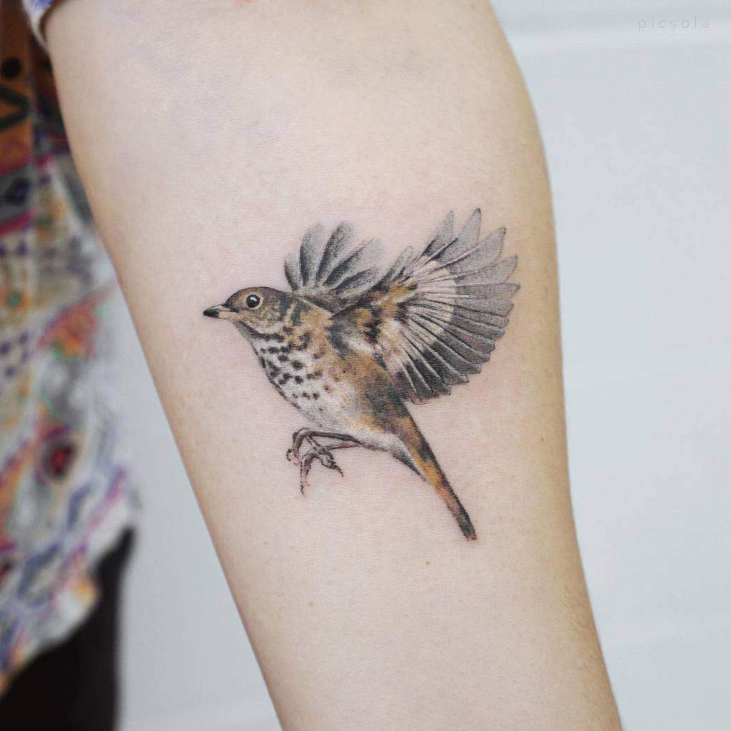 Small Bird Forearm Tattoos Picsola