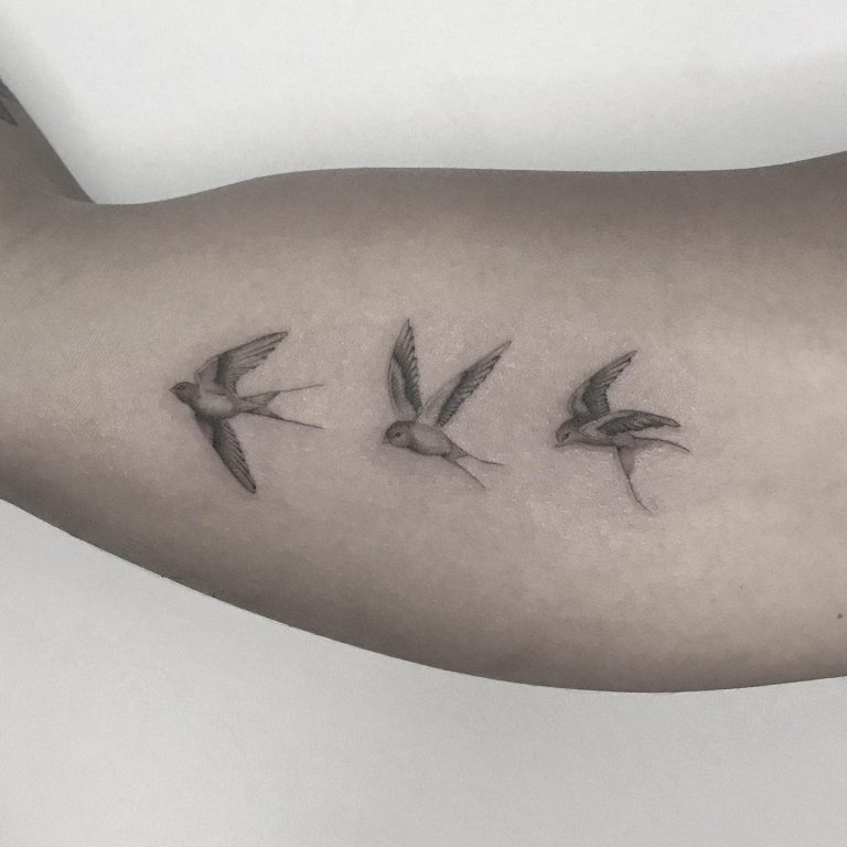 Swallow Tattoo Meaning and Symbolism [2024 Guide]