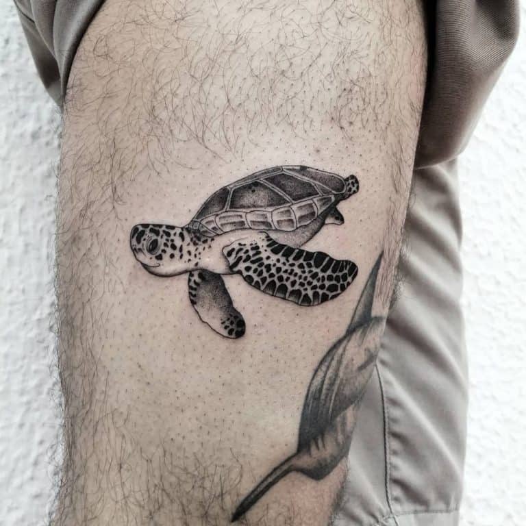 81 Cool Small Turtle Tattoo Ideas