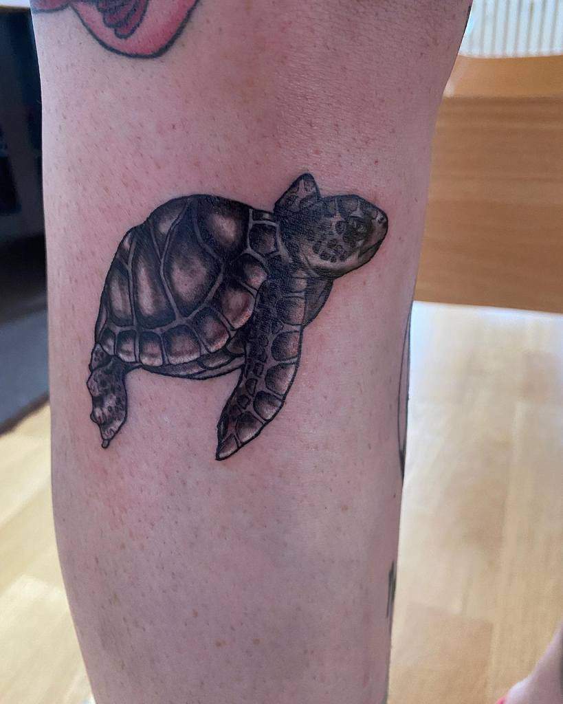 Small Black Turtle Tattoos new_tattoo_artist_