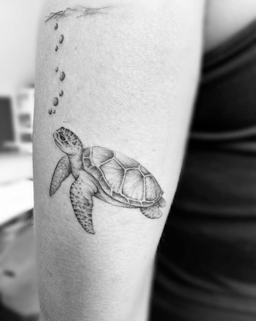 81 Cool Small Turtle Tattoo Ideas