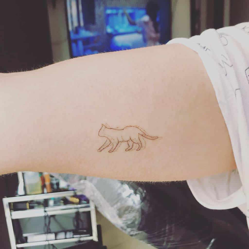 Small Cat Outline Tattoo jennta_ttoos
