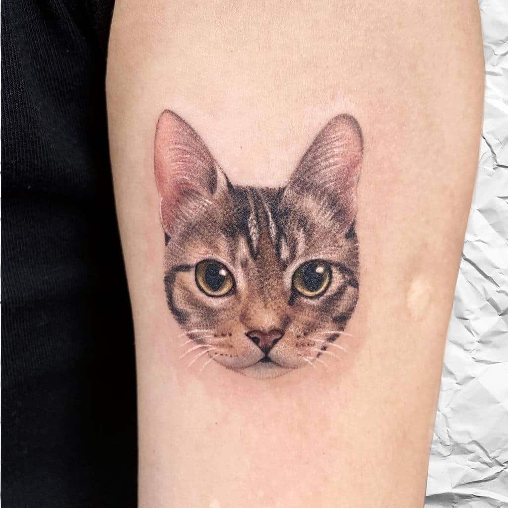 Small Cat Realistic Tattoos 3 tappymao