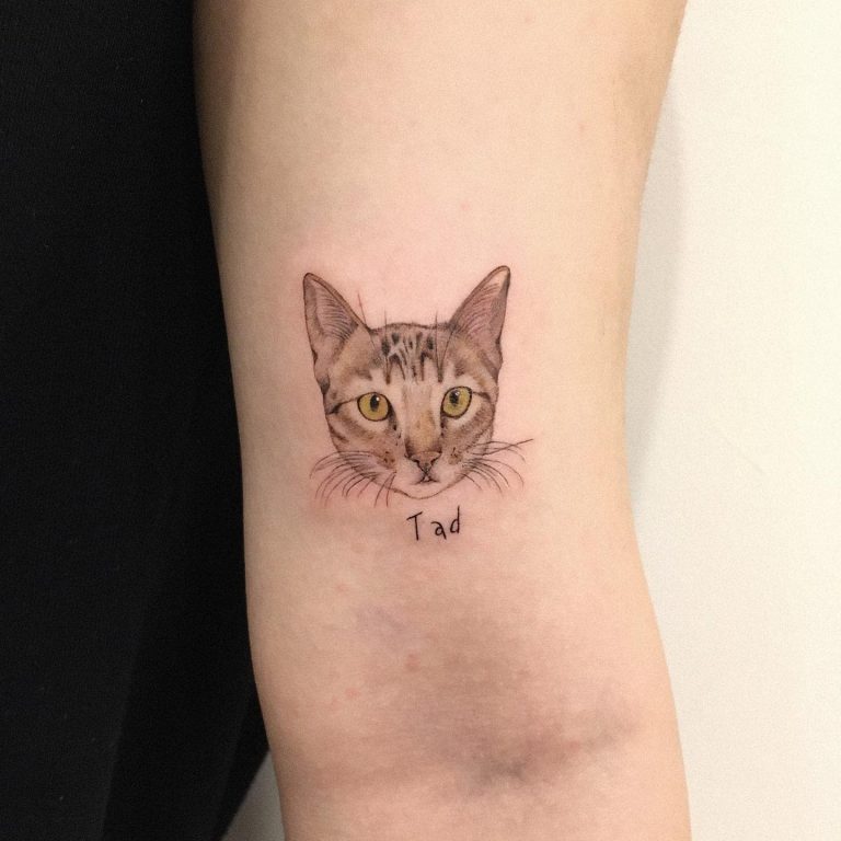 Small and Simple Cat Tattoo Ideas for Men and Women