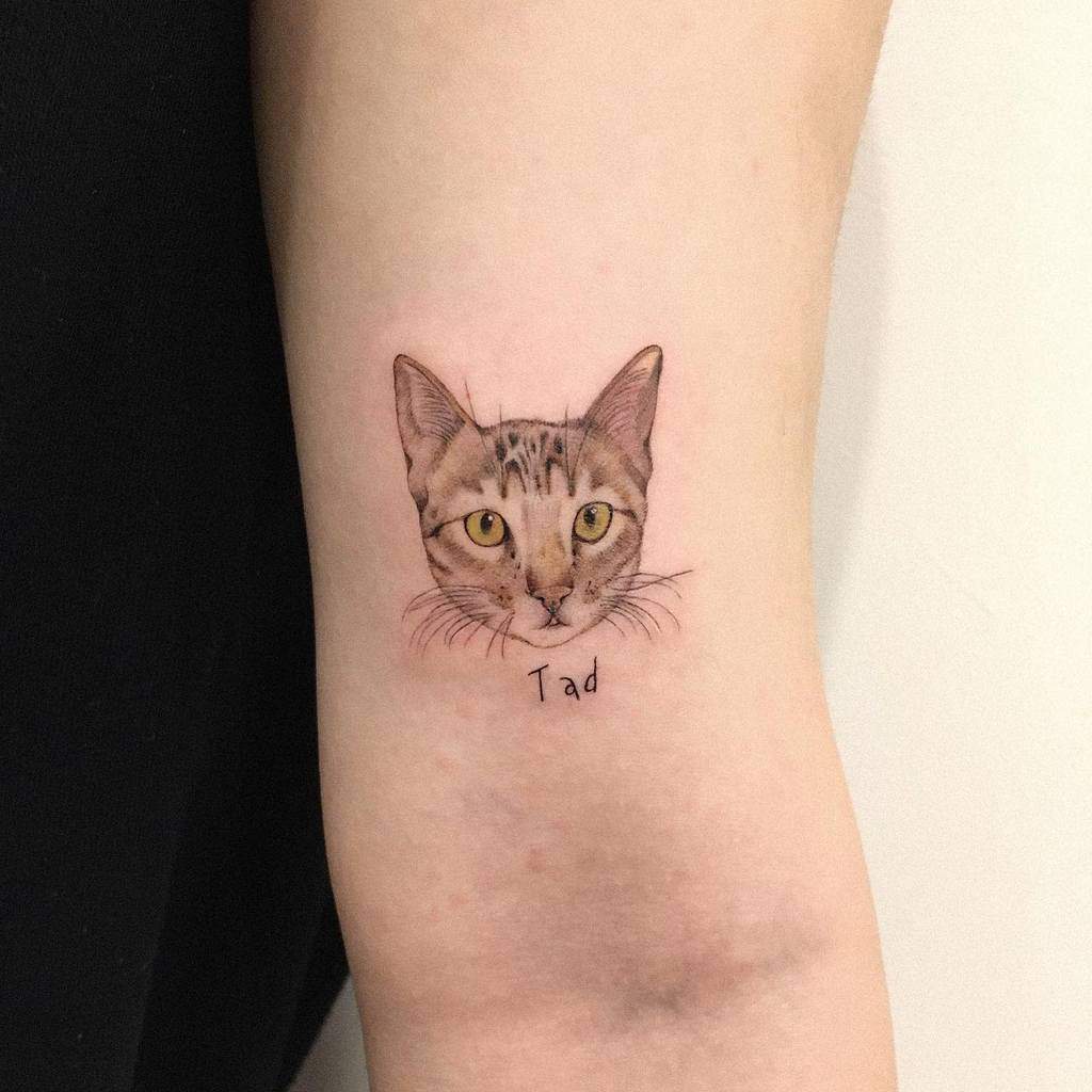 Small Cat Realistic Tattoos jins_tattoo