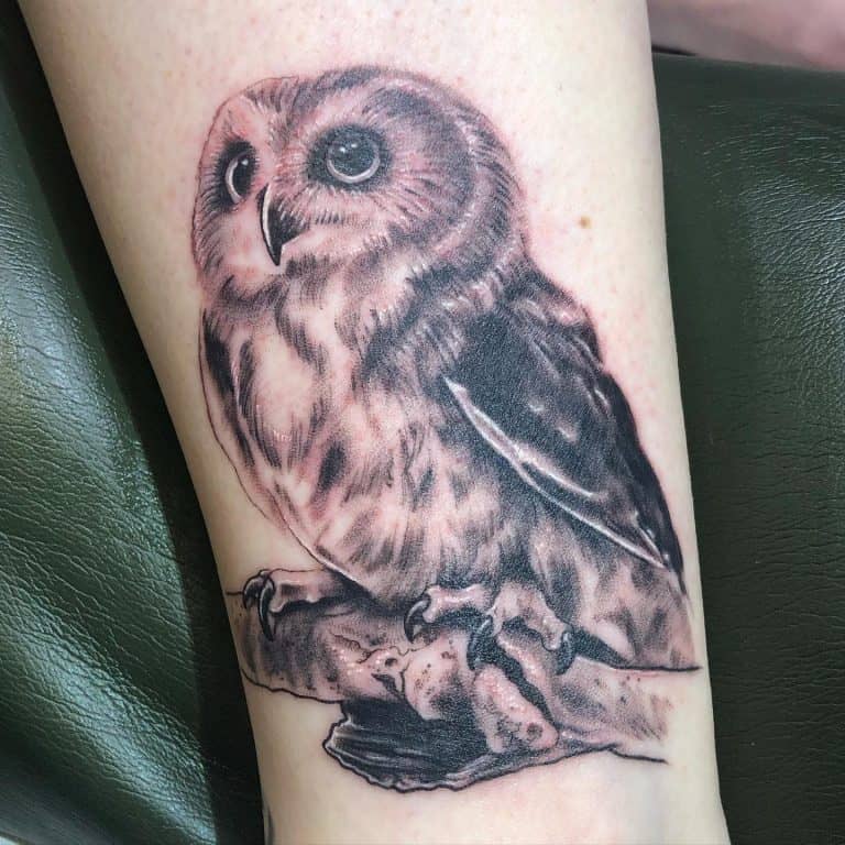 50 Amazing Small Owl Tattoo Ideas [2024 Inspiration Guide]