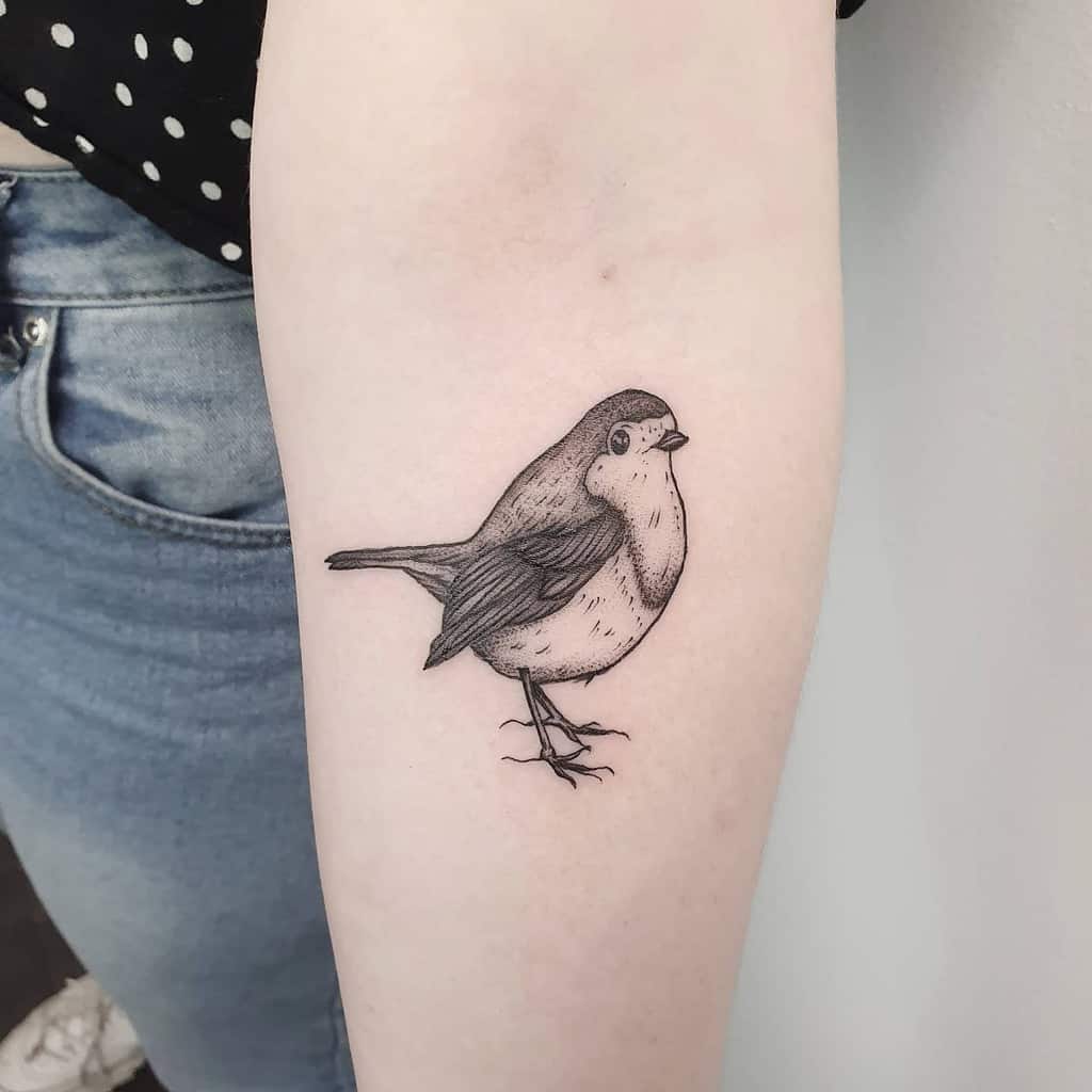 Small Robin Tattoo Studioinkwell