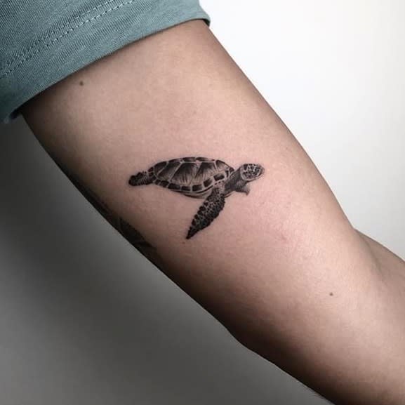 12 Tiny Turtle Tattoo Designs  PetPress