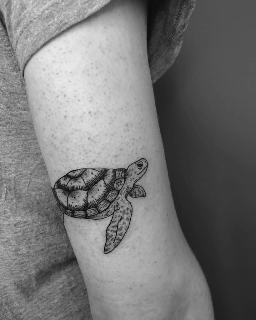 81 Cool Small Turtle Tattoo Ideas