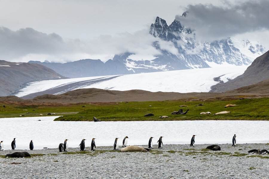 South Georgia and the South Sandwich Islands