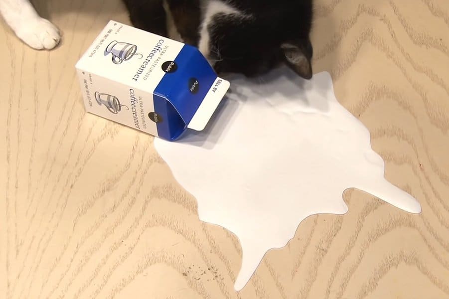 Spilled Milk Prank