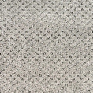 Stainmaster PetProtect Natural Essence Pattern Carpet