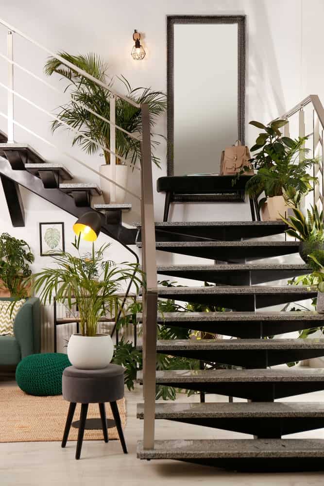 modern staircase with plants 