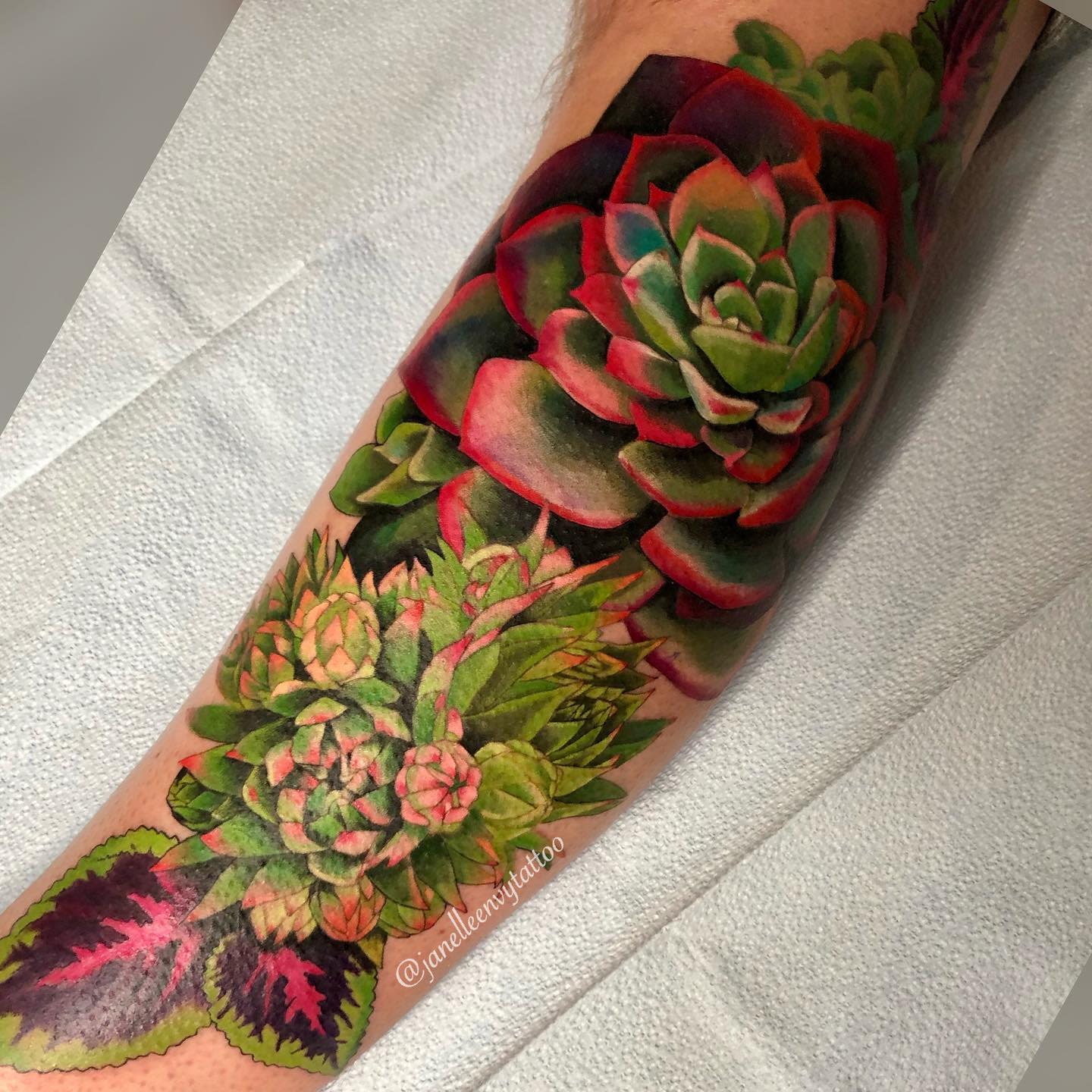 Premium Vector  Floral succulent plants tattoo highly detailed in line art  style