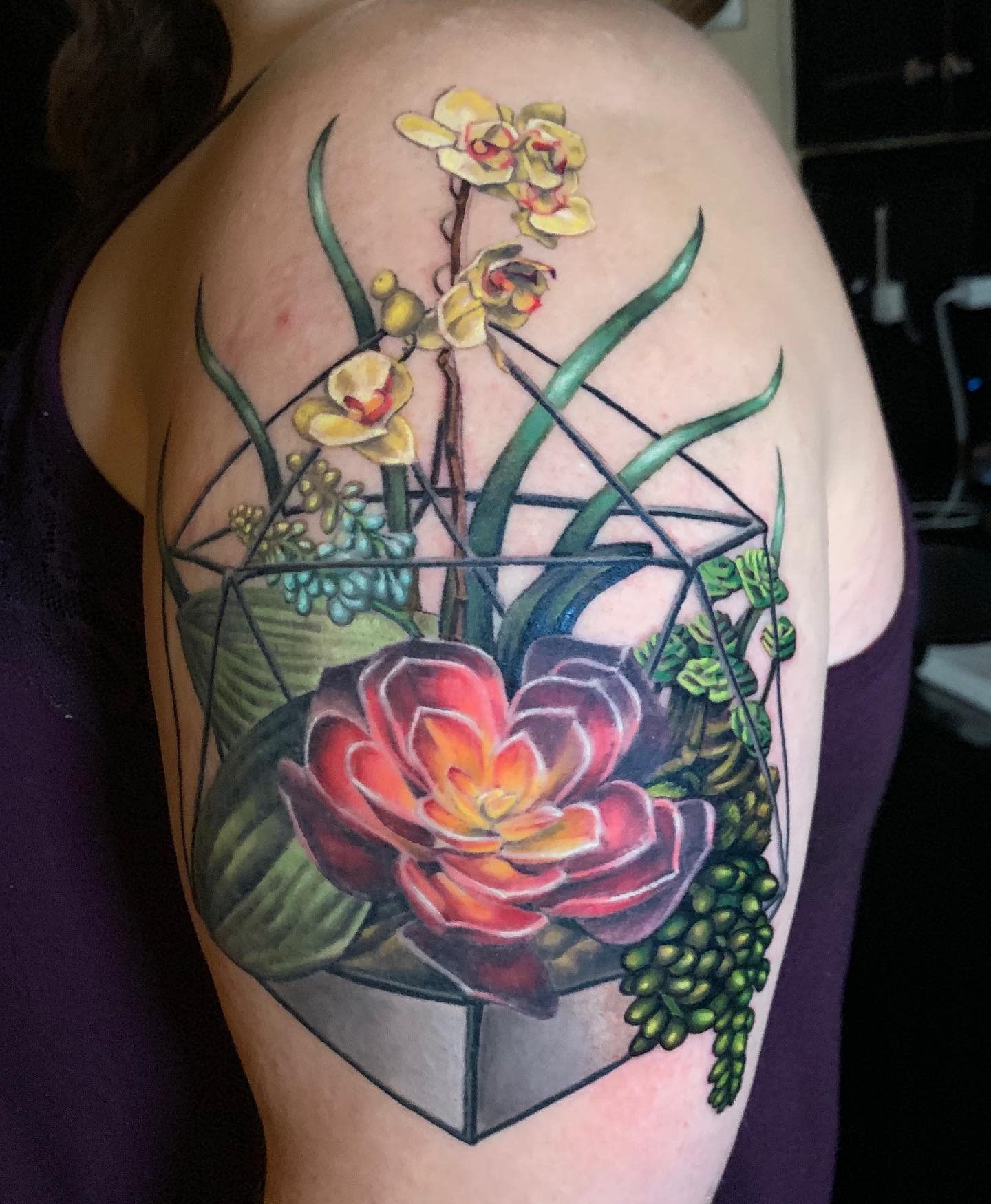 A detailed tattoo features a geometric terrarium filled with vibrant flowers and succulents, intricately inked on an arm