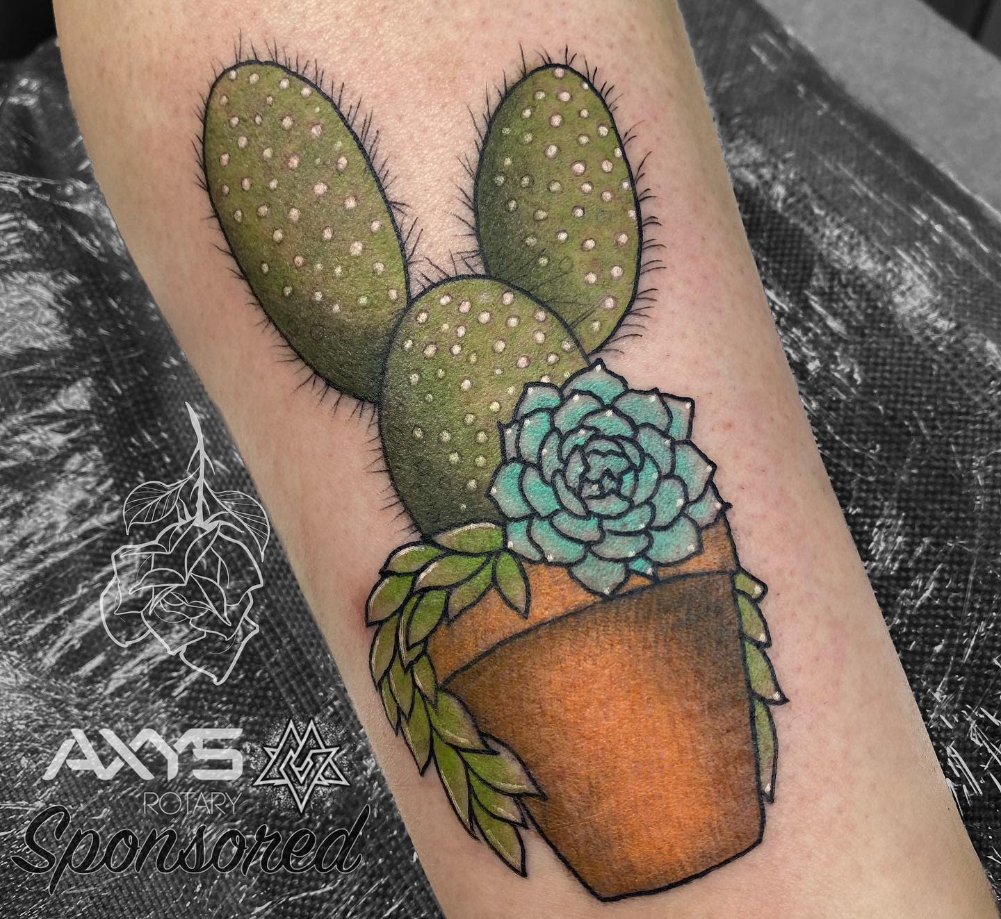 Potted Cactus Temporary Tattoos Succulent House Plants Black  Etsy Finland