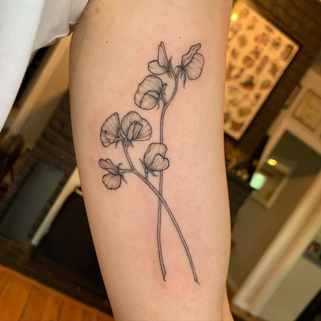 Sweet Pea Flower Upperarrm Tattoo melbtattoos