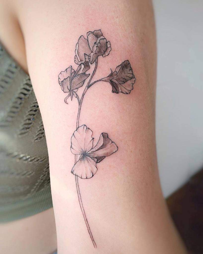 Sweet Pea Flower Upperarrm Tattoo rami.tattooart