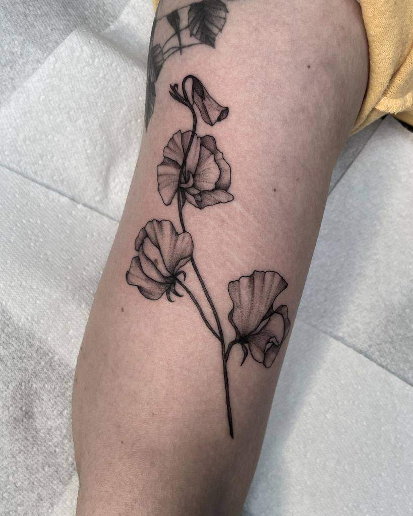Sweet Pea Flower Upperarrm Tattoo sabrinabialektattoo