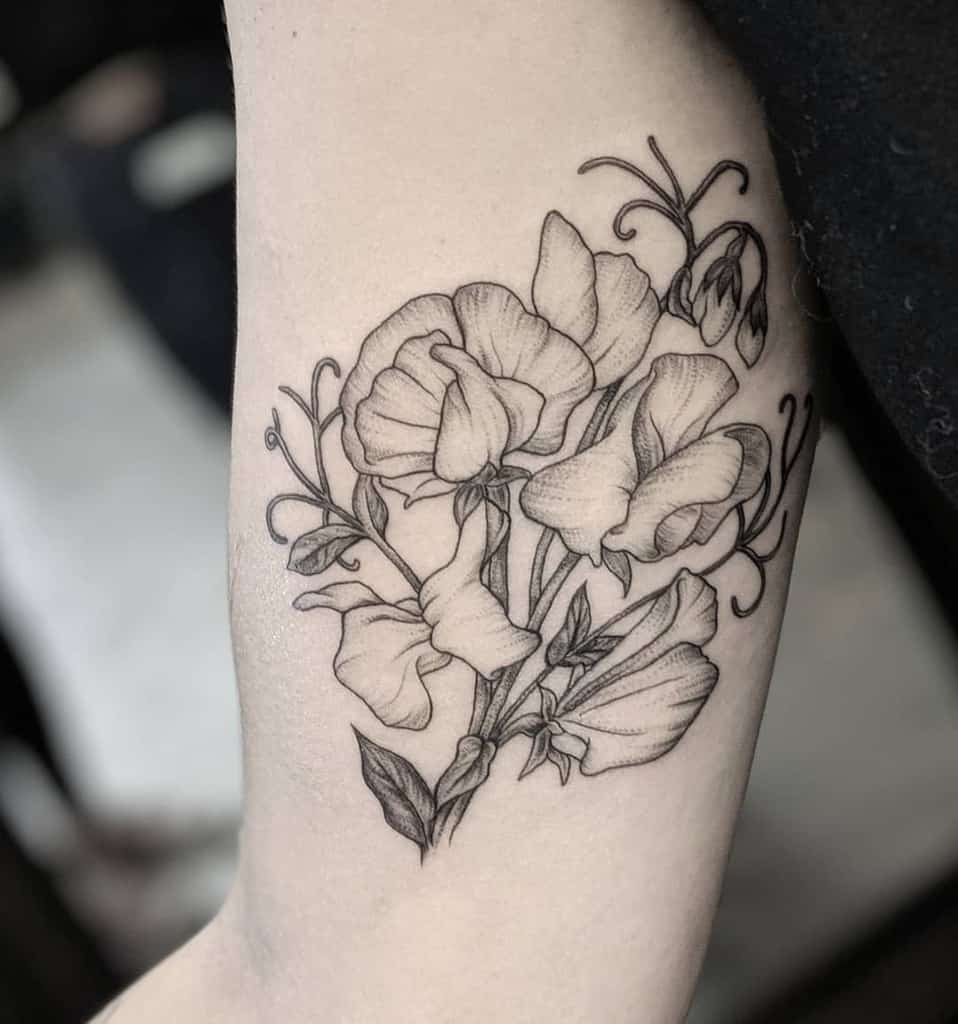 Sweet Pea Flower Upperarrm Tattoo sierra.argyle.tattoo