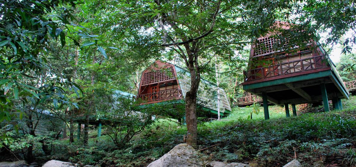 Tabin Wildlife Reserve, Sabah