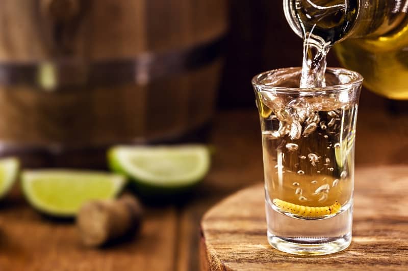 Tequila-and-Mezcal
