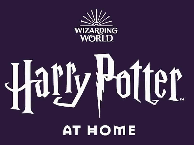The Wizarding World