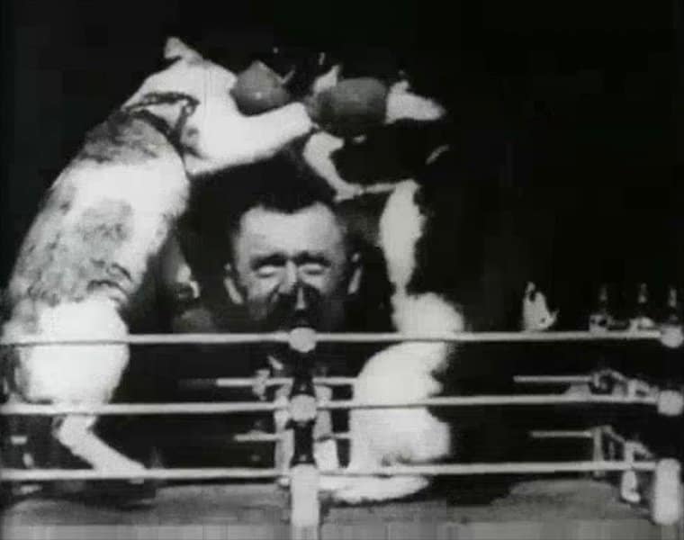 Thomas Edison Made the First Cat Video in 1894