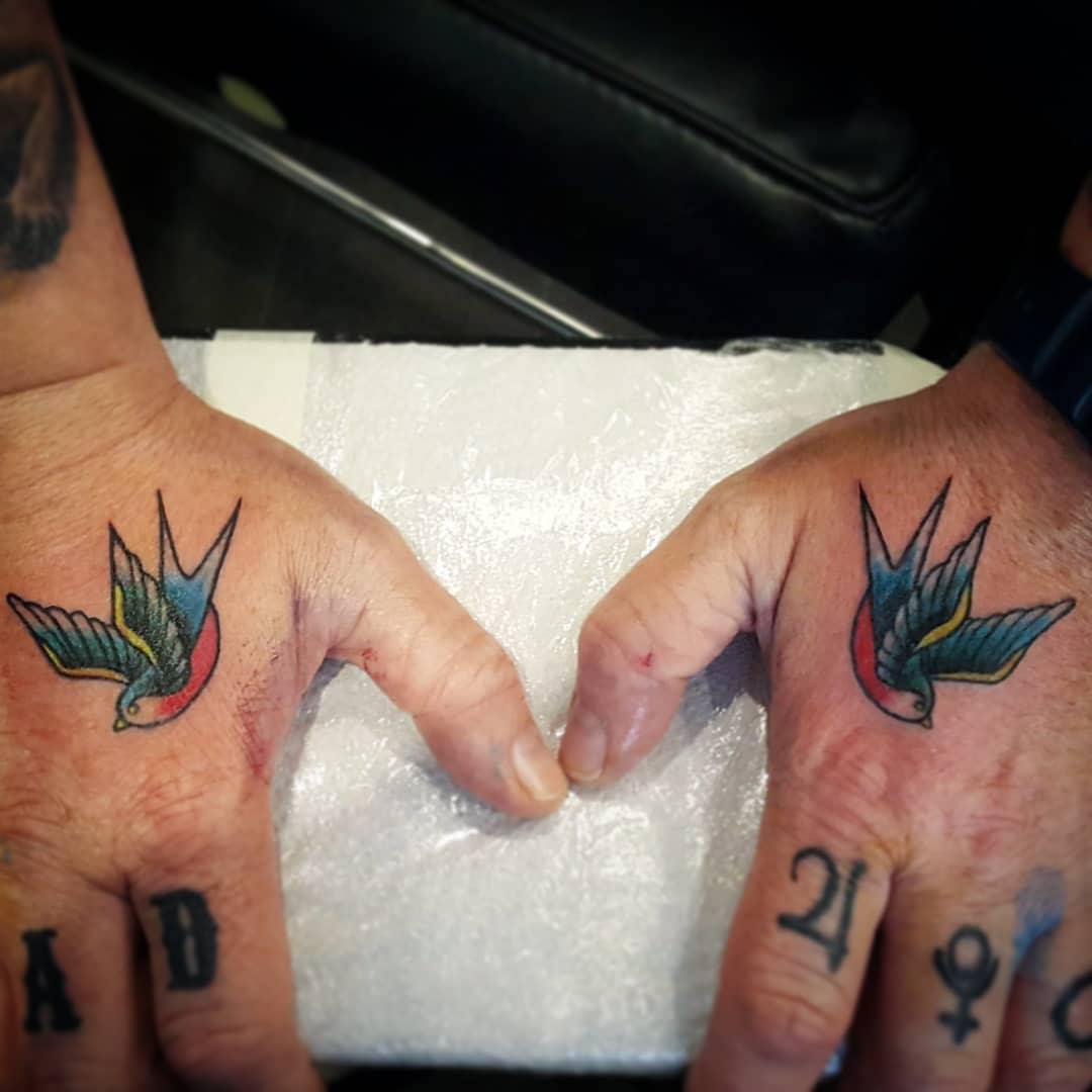Traditional Bluebird Tattoo billyplantestattoo