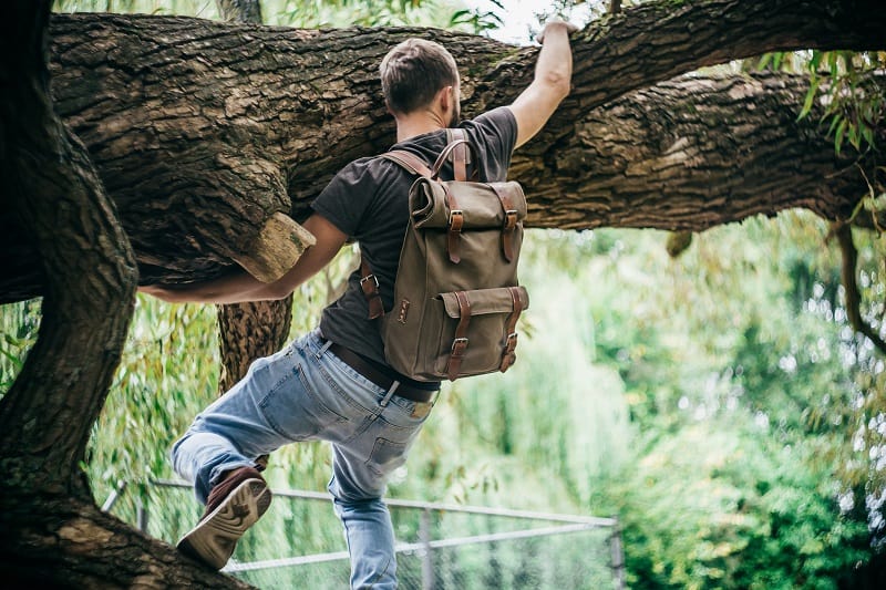 Tree-Climbing-Best-Outdoor-Hobby-For-Men