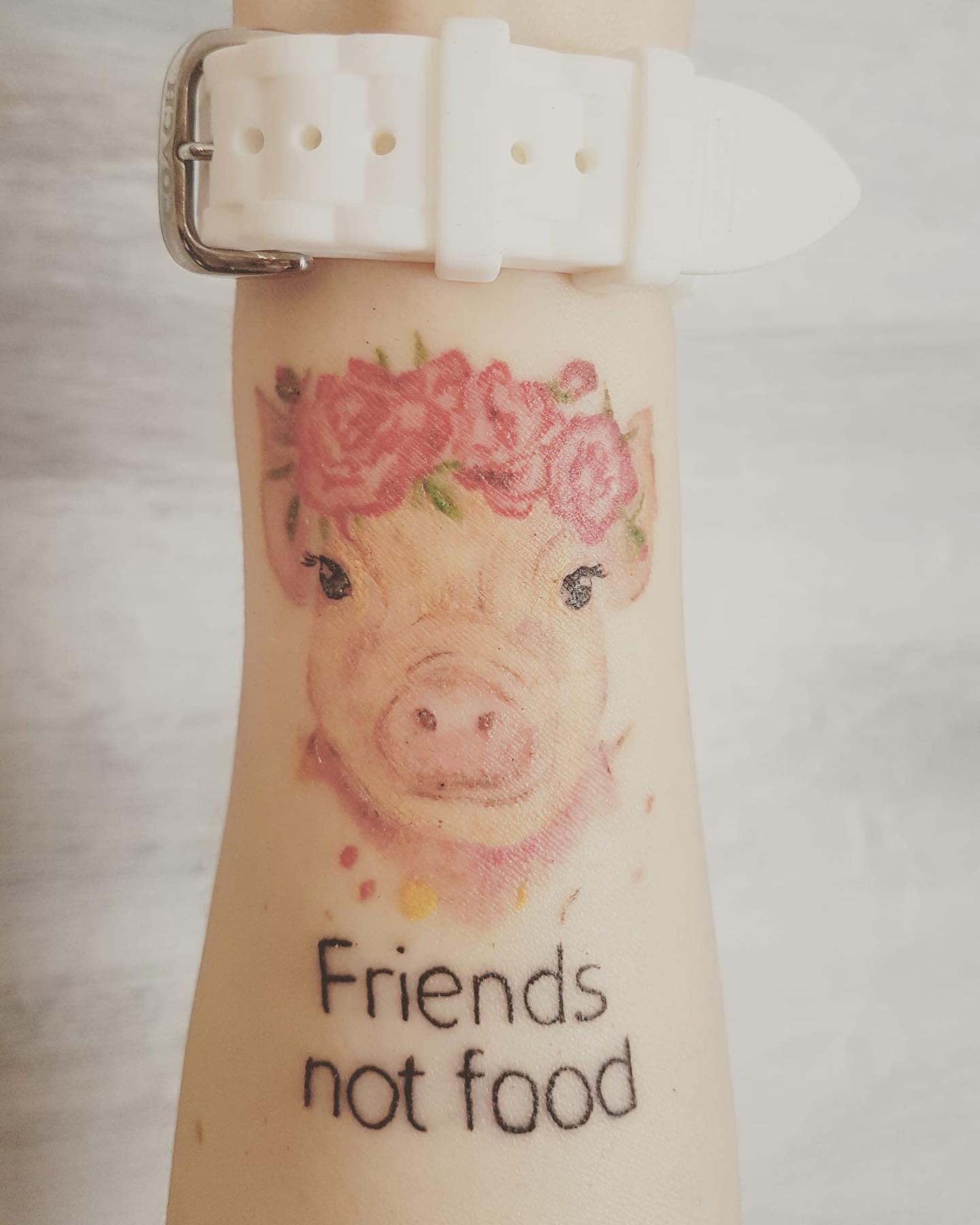 Cute Vegan Tattoo -tattoobahar