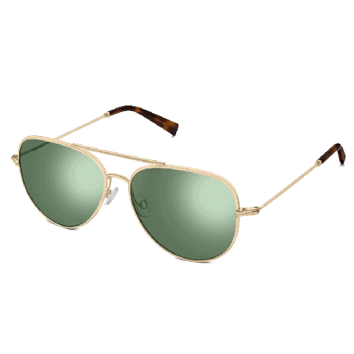 Warby Parker Raider Sunglasses