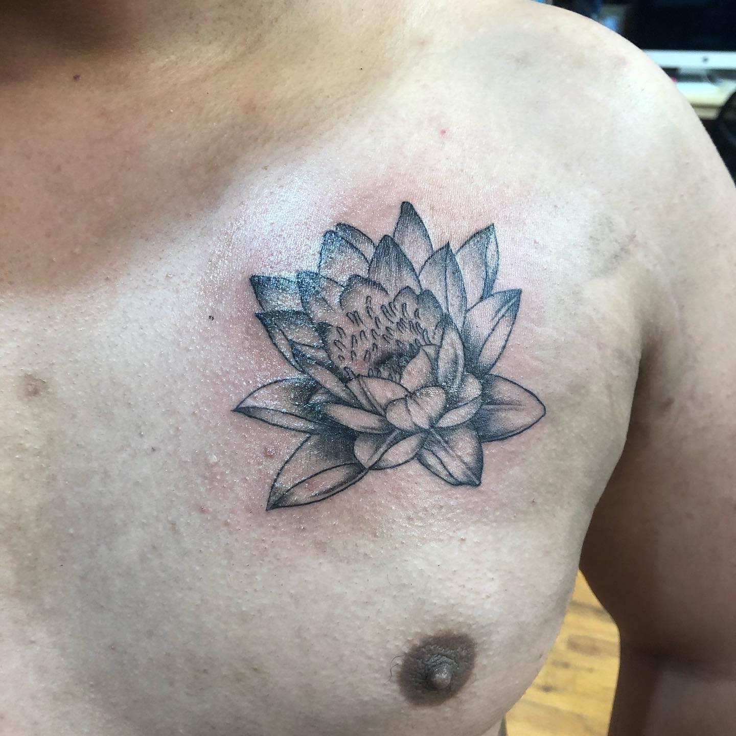 The Top 35 Water Lily Tattoo Ideas 21 Inspiration Guide