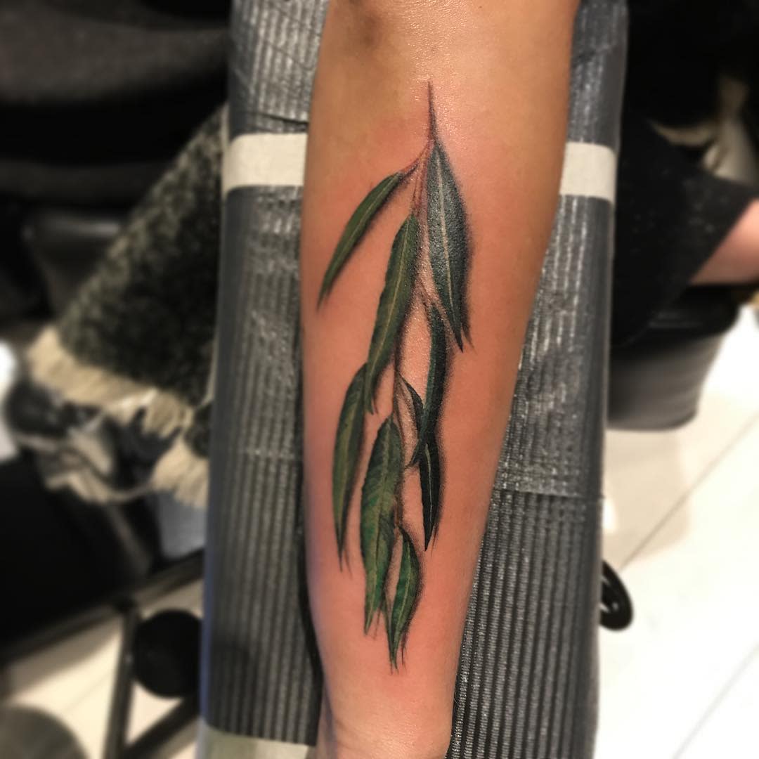 Leaf Weeping Willow Tattoo -ivor_tattoo_