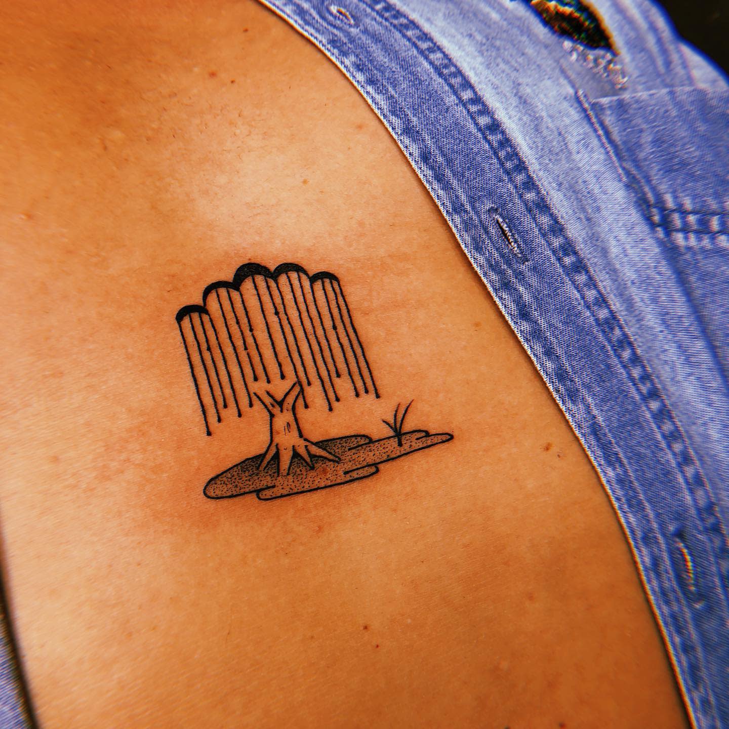 Small Weeping Willow Tattoo -alejandronubo
