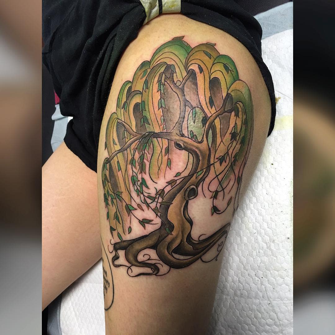 Traditional or Neotrad Weeping Willow Tattoo -_sunshine.and.honey_