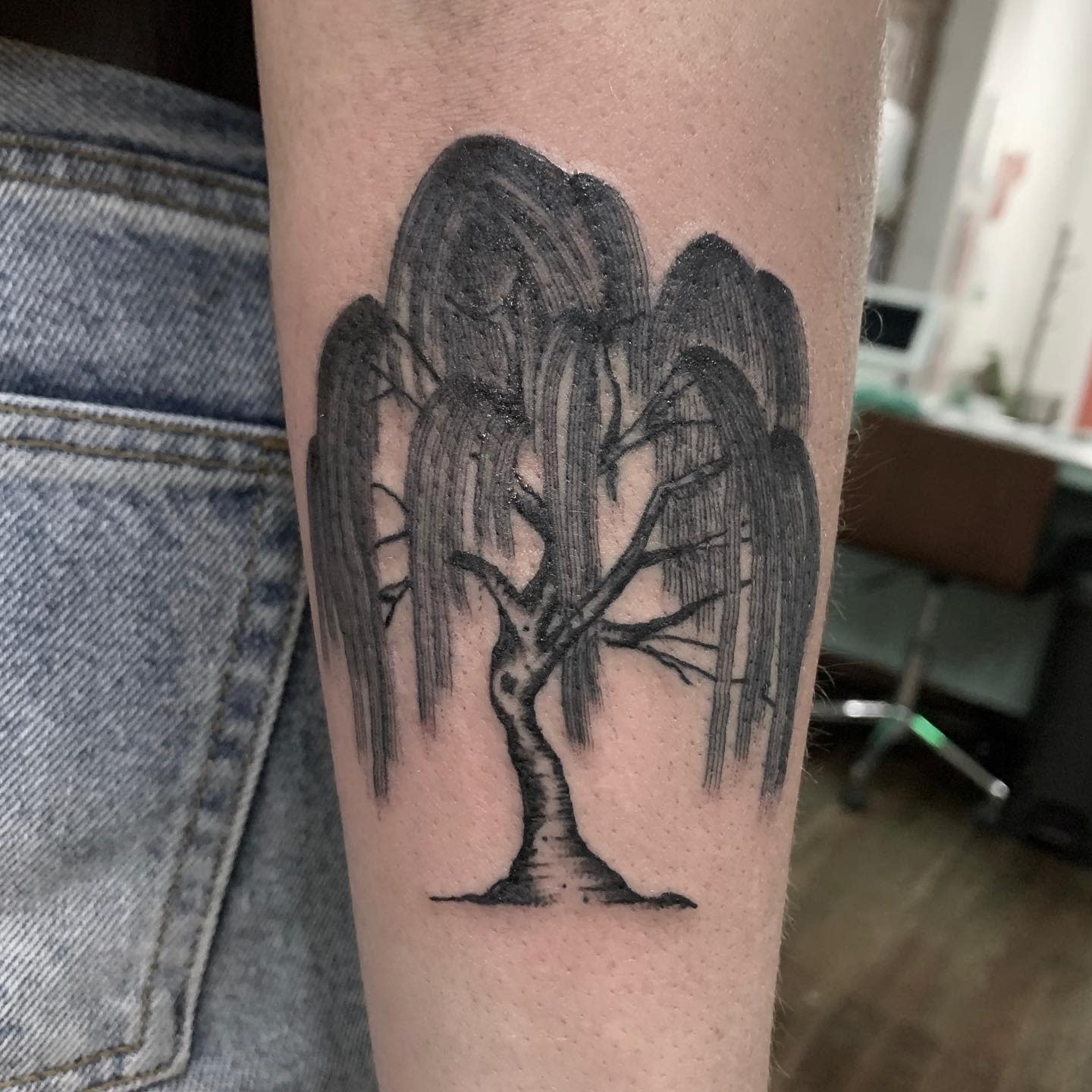 Traditional or Neotrad Weeping Willow Tattoo -iandwcampbell