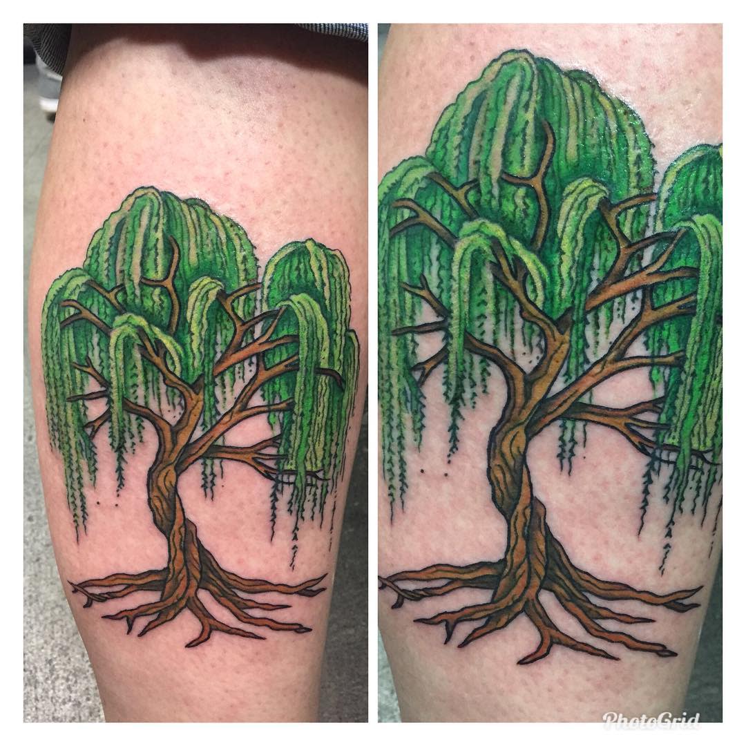 Traditional or Neotrad Weeping Willow Tattoo -juicytattoos