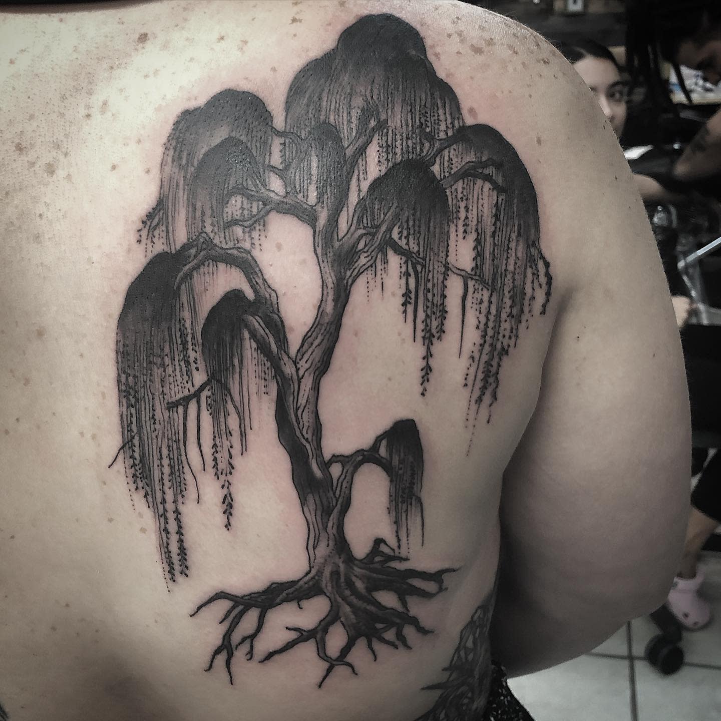Traditional or Neotrad Weeping Willow Tattoo -niknatas