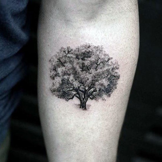 Amazing Detailed Small Inner Forearm 3d Guys Cool Tree Tattoos