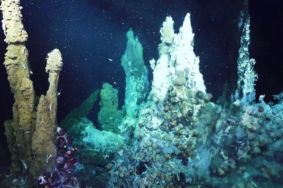 amazing-facts-about-the-bottom-of-the-ocean-image-10