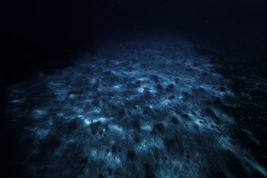 amazing-facts-about-the-bottom-of-the-ocean-image-2