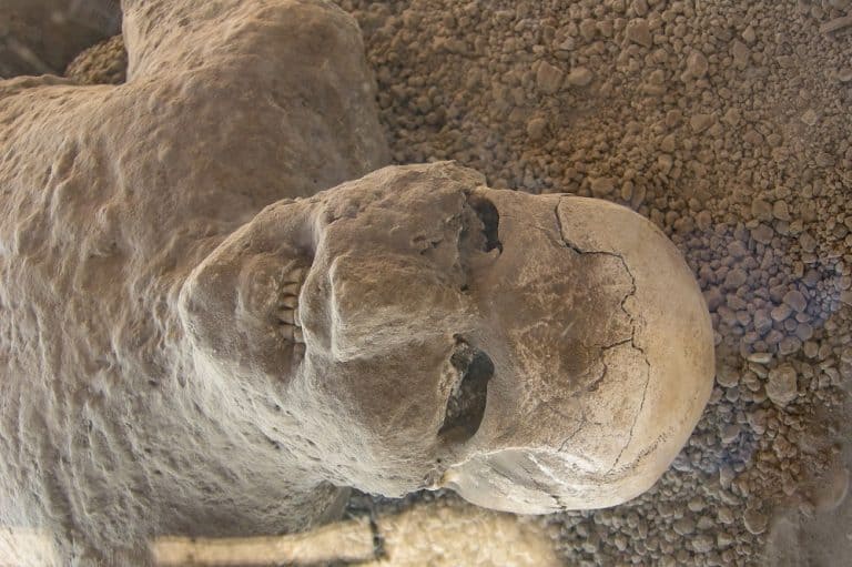 12 Amazing Facts About the Preserved Pompeii Bodies | LaptrinhX / News