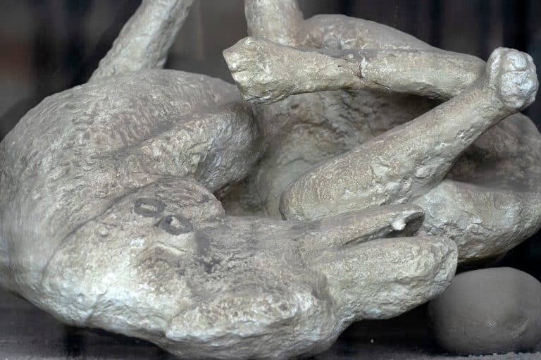 12 Amazing Facts About The Preserved Pompeii Bodies