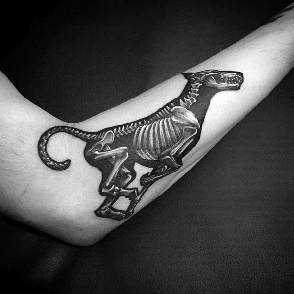 Awesome Tattoo Ideas  Xray Triceratops tat