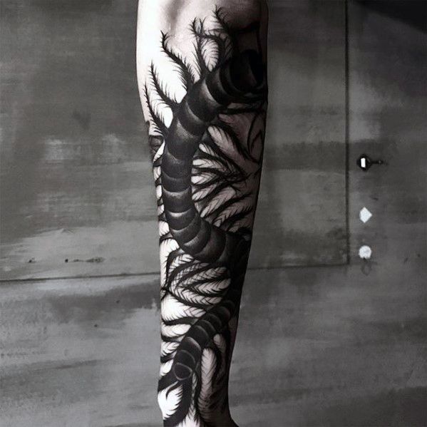 50 Centipede Tattoo Designs For Men - Insect Ink Ideas