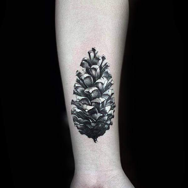 Pine cone tattoo design  Tattoo contest  99designs